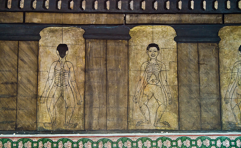 The ancient Chinese practice of acupuncture