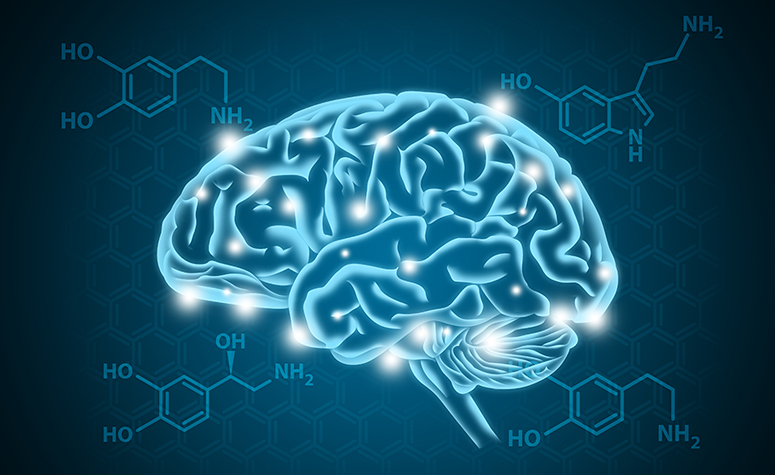 Dopamine, a crucial hormone and neurotransmitter