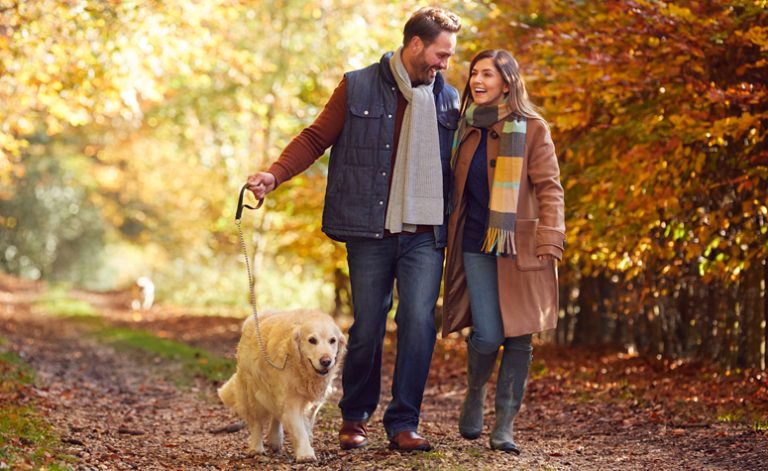 Couple walking in the woods following detox treatment now repairing their relationship
